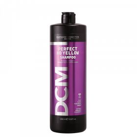 Lisap DCM Shampoo